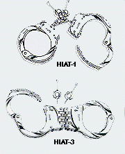 access13.gif