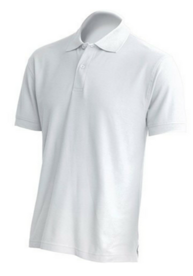 polo1.PNG