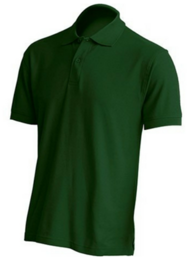 polo3.PNG