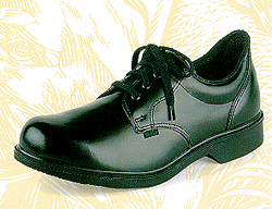 shoe8.gif