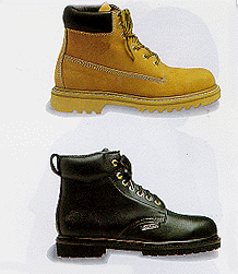shoe9.gif